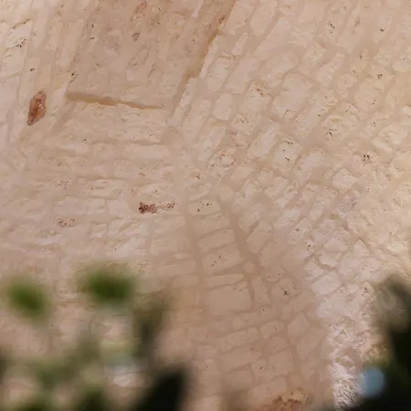 Il Trullo E La Pietra